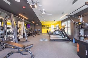 Jeffersonville apartment for rent - Gym at Arbour Place Apartments, Jeffersonville, IN