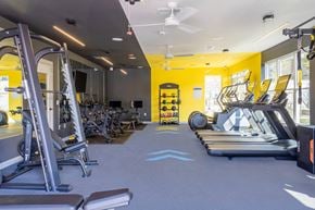 Bowling Green apartment for rent - Fitness center with cardio and strength equipment at Viridian Apartments, Bowling Green, KY 42104