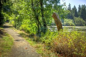 Eugene townhouse for rent - Views