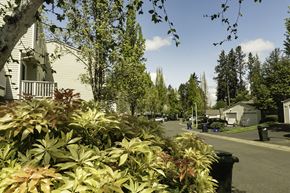 Eugene townhouse for rent - Mature Landscaping