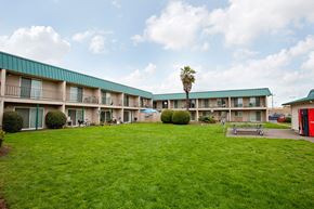 Eugene apartment for rent - A grassy courtyard in front of a building with a palm tree.