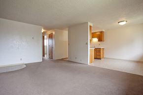 Springfield apartment for rent - Large Common Area