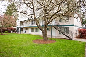 Eugene apartment for rent - A tree in a grassy area in front of a building.