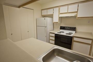 Springfield apartment for rent - A kitchen with a stove, refrigerator, and sink.