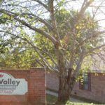 Lancaster apartment for rent - a tree in front of a brick building