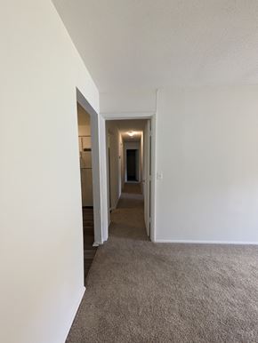 Statesboro apartment for rent - A long hallway with white walls and carpeting.