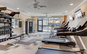 Asheville apartment for rent - A gym with treadmills, weights, and exercise equipment.