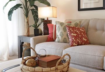 Statesboro apartment for rent - A living room with a couch, a table with a lamp, a plant, and a basket with books and decorative items.