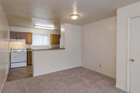 Norfolk apartment for rent - Kitchen