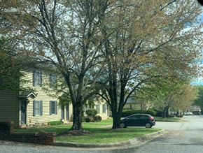 Hickory apartment for rent - a car parked on the side of a street