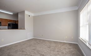 Houma apartment for rent - A spacious living room with a carpeted floor and a window on the right side.