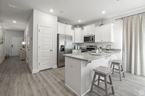 Gulf Breeze apartment for rent - a kitchen with a counter top and a refrigerator