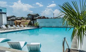 Alexander apartment for rent - a large swimming pool with lounge chairs and a palm tree