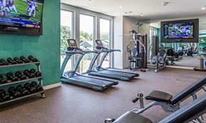 Alexander apartment for rent - a gym with treadmills and other exercise equipment and a flat screen tv