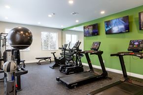 Laconia apartment for rent - A gym with treadmills, exercise balls, and a bench.