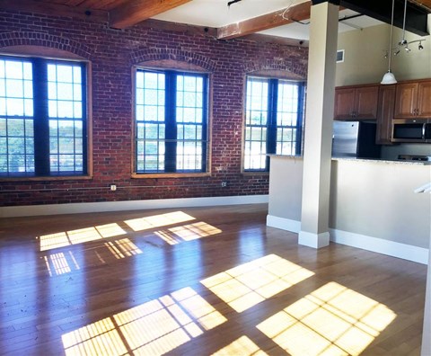 Floor plan for studio, 1 bath, 523 sqft