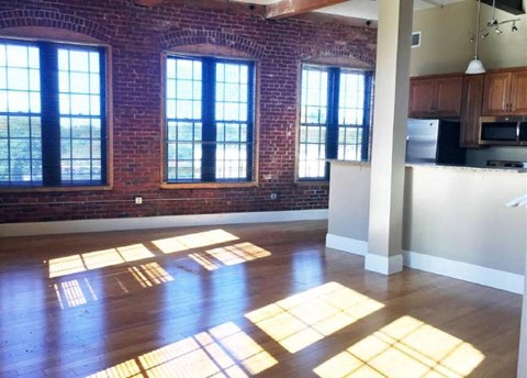 Floor plan for studio, 1 bath, 523 sqft