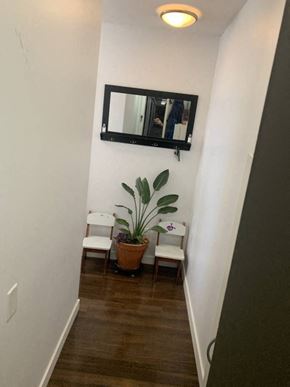 Vancouver condo for rent - A hallway with a mirror and a potted plant.