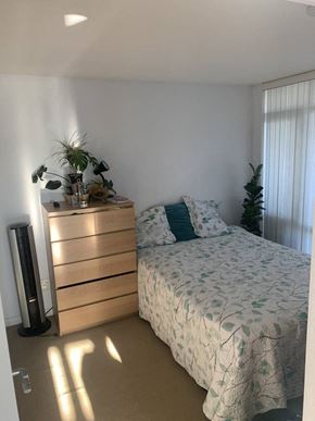 Vancouver condo for rent - A bedroom with a bed, a dresser, and a plant.