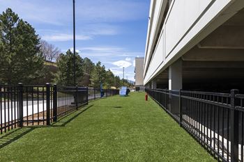 Lawn area