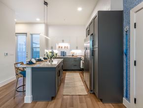 Little Elm apartment for rent - Gorgeous Kitchen with Appliance Package