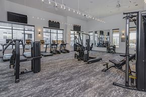 Anna apartment for rent - gym