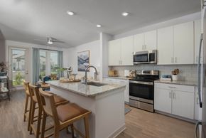 Wesley Chapel apartment for rent - Madison Watergrass Model Unit Kitchen
