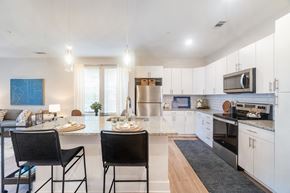 Indian Land apartment for rent - Open-concept living area