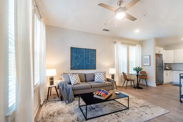 Indian Land apartment for rent - A living room with a grey couch and a blue painting on the wall.