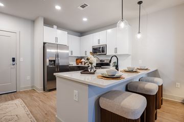 Charlotte apartment for rent - Madison LoSo