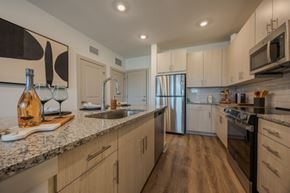 Ruskin apartment for rent - A kitchen with wooden cabinets and stainless steel appliances.
