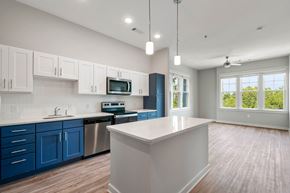 Charleston apartment for rent - Luxury Kitchen
