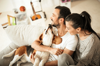 Pet-friendly community