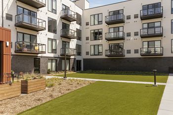 Lawn game area