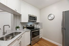 Sainte Therese apartment for rent - Bourg Du Village kitchen open concept kitchen with quartz countertop and stainless steel appliances in Sainte Therese, QC