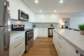 Etobicoke apartment for rent - Royal Rose in Etobicoke, ON kitchen includes stainless steel appliances and upgraded cabinetry and quartz countertops