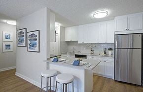 Coquitlam apartment for rent - Braemar Gardens apartments kitchen featuring stainless steel appliances and breakfast seating in Coquitlam, BC