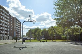 Basketball court