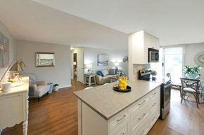 Kitchener apartment for rent - Capitol Hill in Kitchener, ON open concept kitchen with upgraded cabinetry