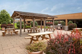 Bbq area