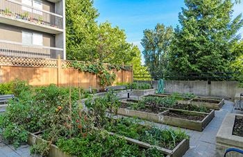 Community garden