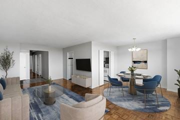 North York apartment for rent - A modern living room with a blue rug and a white sofa.