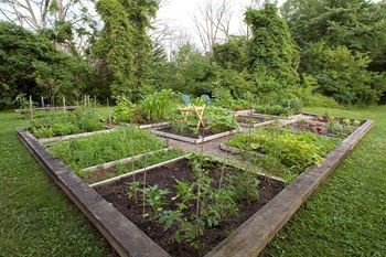 Community garden