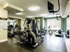 Edmonton apartment for rent - A gym with a variety of equipment including treadmills, elliptical machines, and weights.