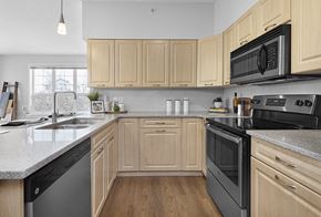 Edmonton apartment for rent - A kitchen with wooden cabinets and black appliances.