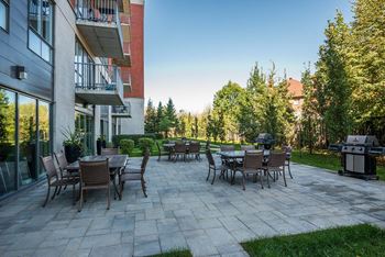 Outdoor terrace with bbqs