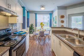 Decatur apartment for rent - Kitchen