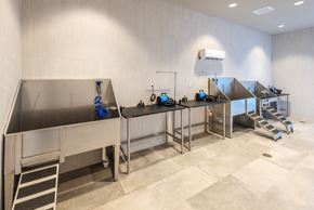 Raleigh apartment for rent - Pet Wash Station
