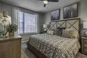 Charlotte apartment for rent - bedroom