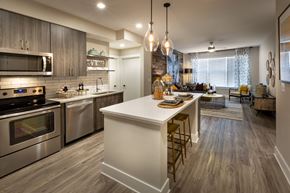 Atlanta apartment for rent - kitchen and living room of a model home with stainless steel appliances